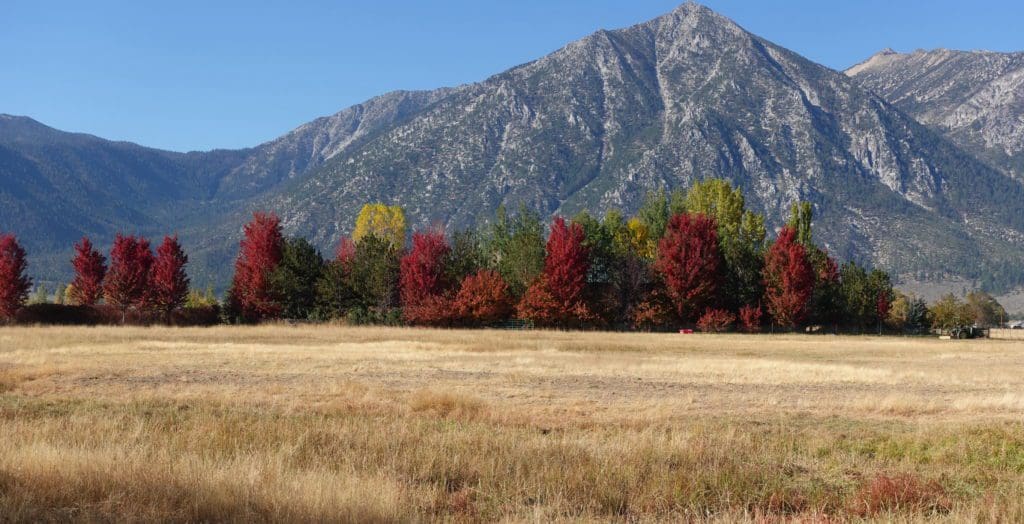 Carson Valley Fall Color